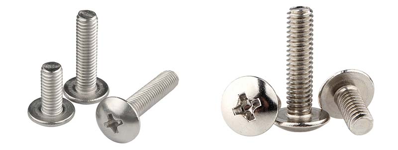 cup head bolt