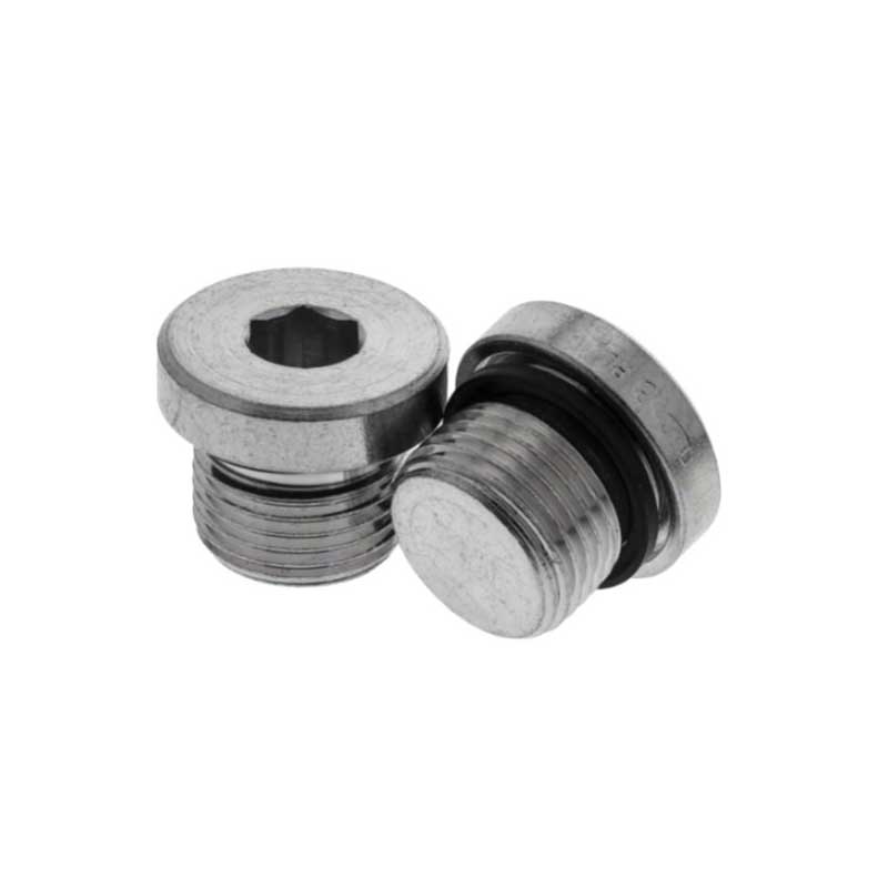 BSP Male Captive Seal Plug